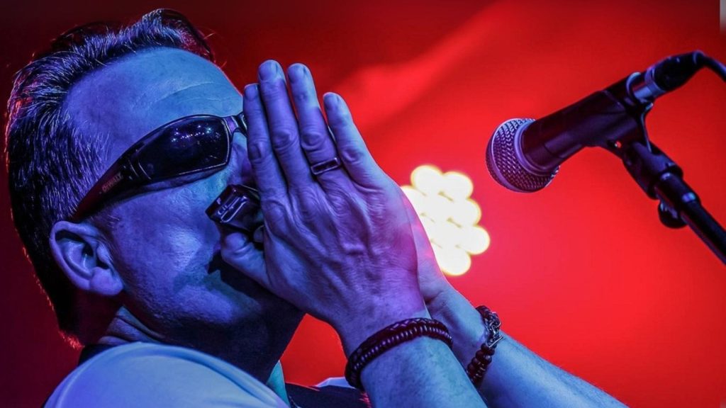 Picnic in the Park: Lee Hedley Blues Band